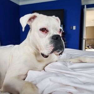 Meet your Posher, Natasha